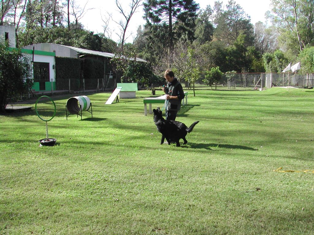 Adiestramiento profesional